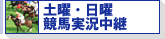 土曜・日曜競馬実況中継